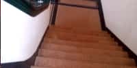 limpieza anual limpieza anual